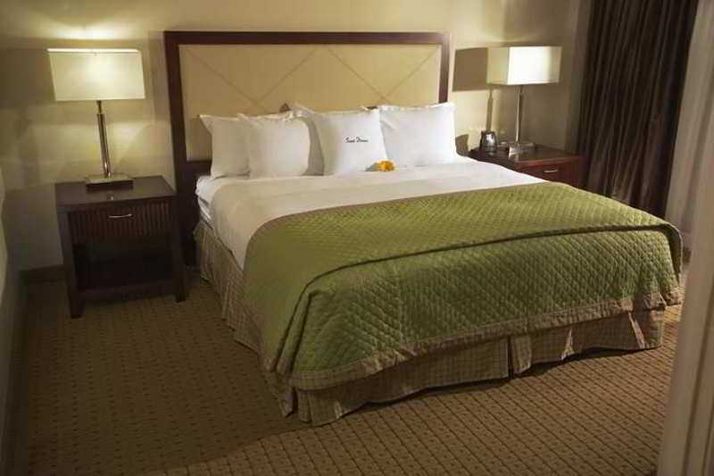 Hotel Doubletree By Hilton Tampa Rocky Point Waterfront Habitación foto